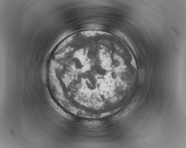 X0000111140851200907281111