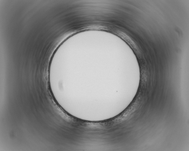 X0000111140852200907281111