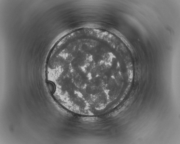 X0000111140853200907281111