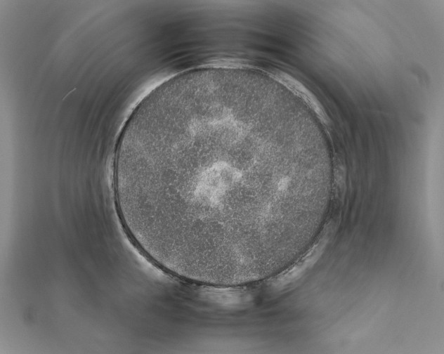 X0000111140855200907281111