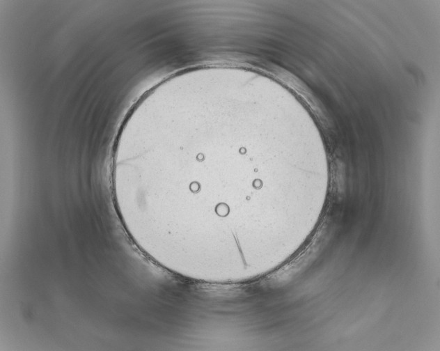 X0000111140856200907281111