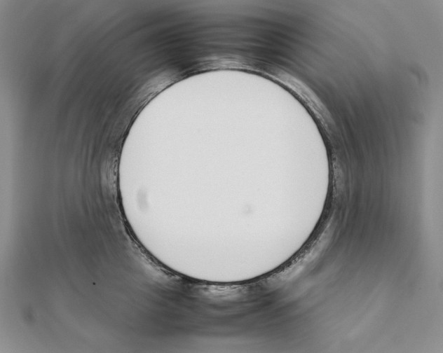 X0000111140857200907281111