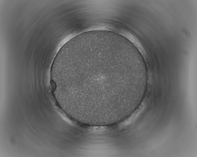 X0000111140858200907281111