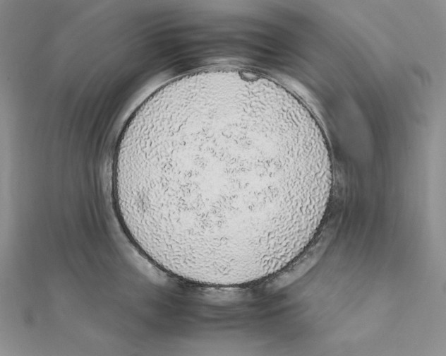 X0000111140859200907281111