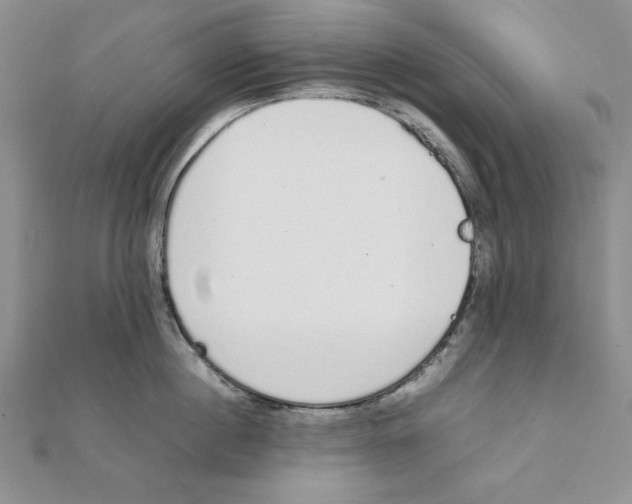 X0000111140860200907281111