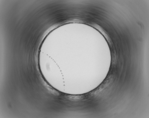 X0000111140861200907281111