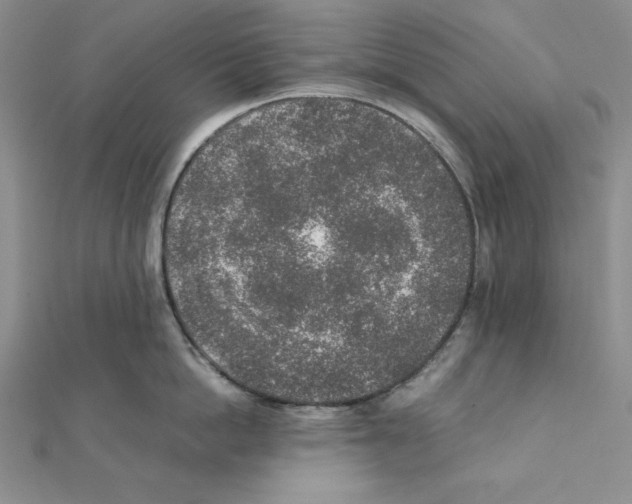 X0000111140862200907281111