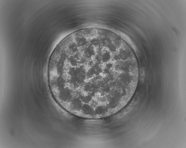 X0000111140863200907281111