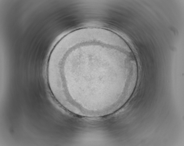 X0000111140864200907281111