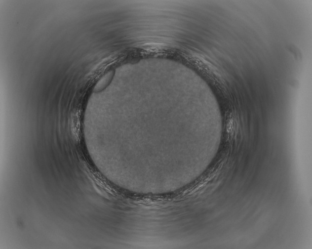 X0000111140868200907281110