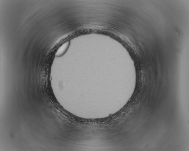 X0000111140872200907281110