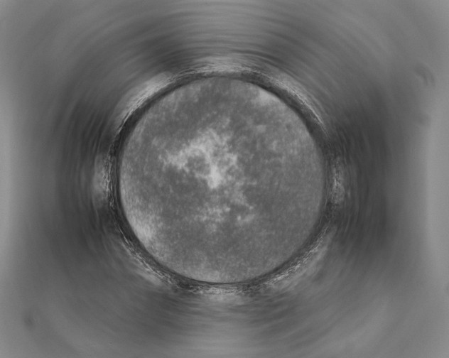 X0000111140874200907281110