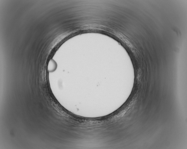 X0000111140877200907281110