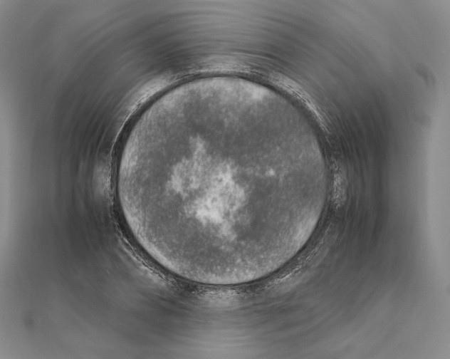 X0000111140882200907281110