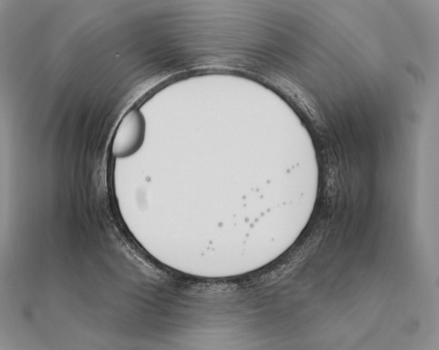 X0000111140884200907281110