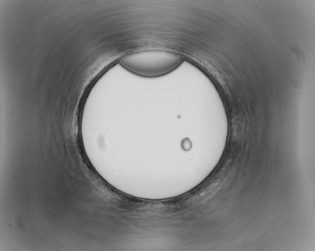 X0000111140885200907281110