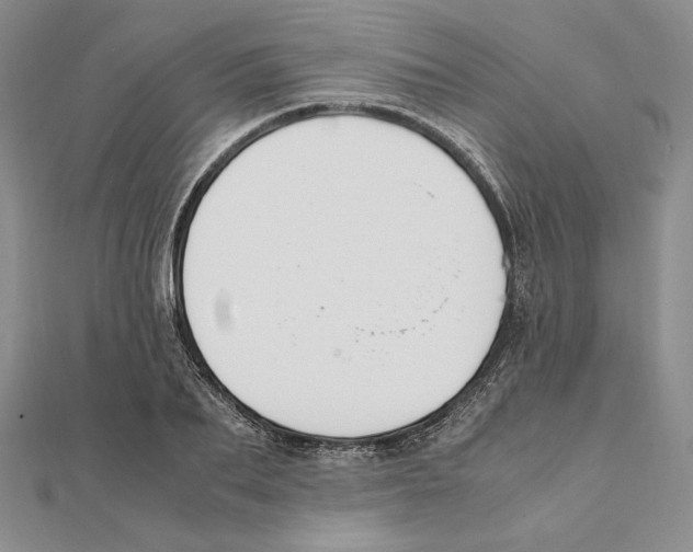 X0000111140887200907281110