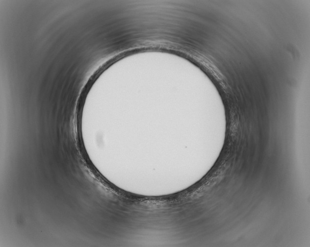 X0000111140888200907281110