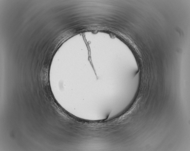 X0000111140889200907281110