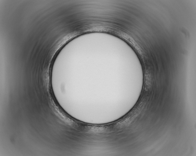 X0000111140890200907281110