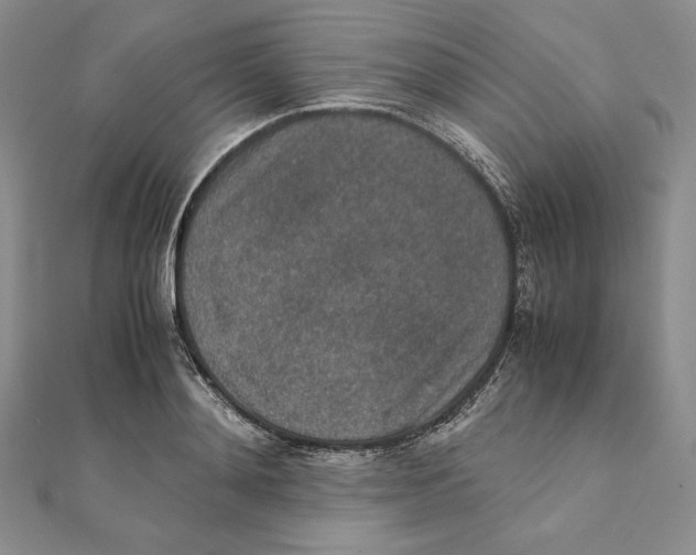 X0000111140892200907281110