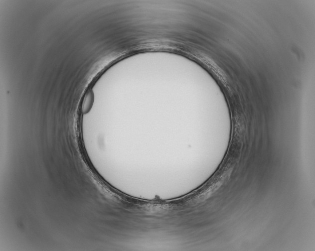 X0000111140893200907281110