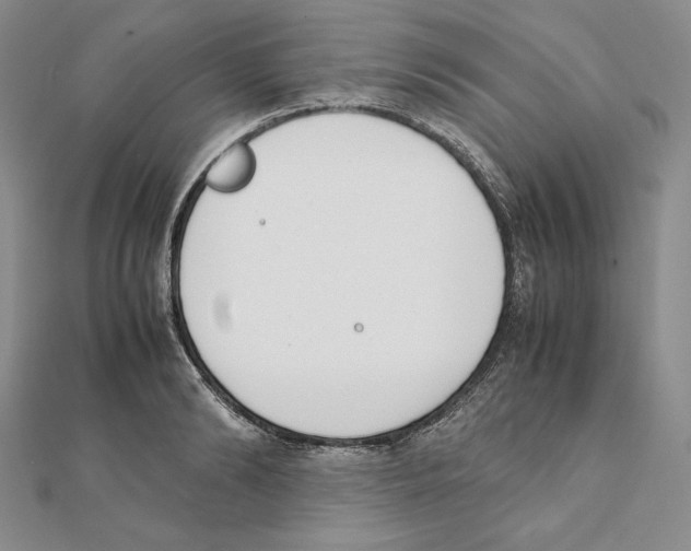 X0000111140894200907281110