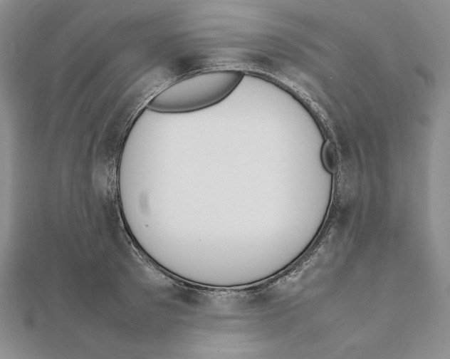 X0000111140897200907281110