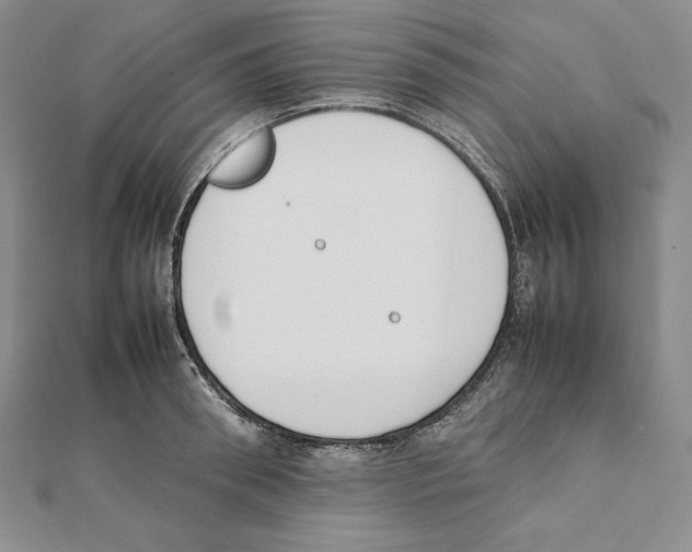 X0000111140898200907281110