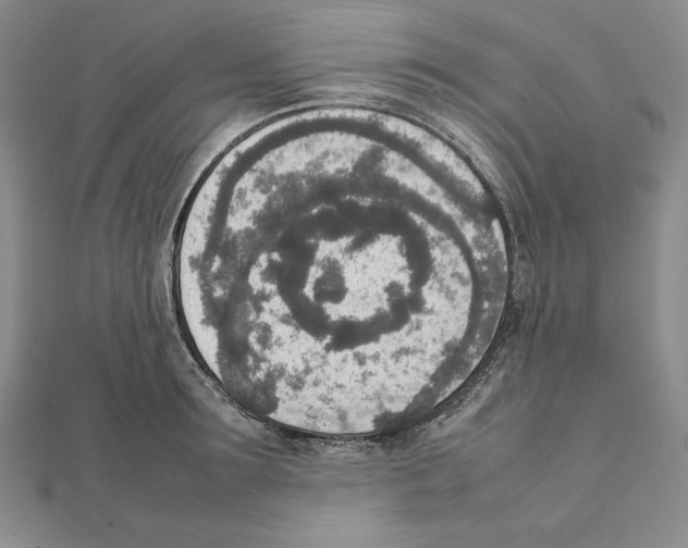 X0000111140899200907281110