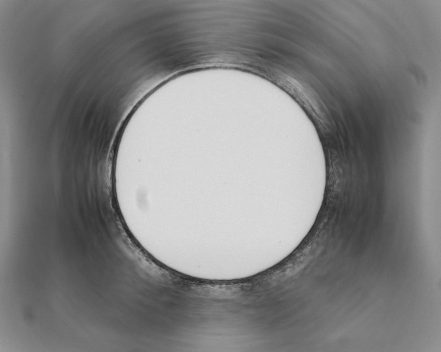 X0000111140900200907281110