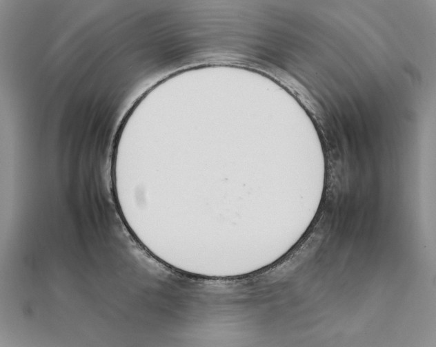 X0000111140904200907281110