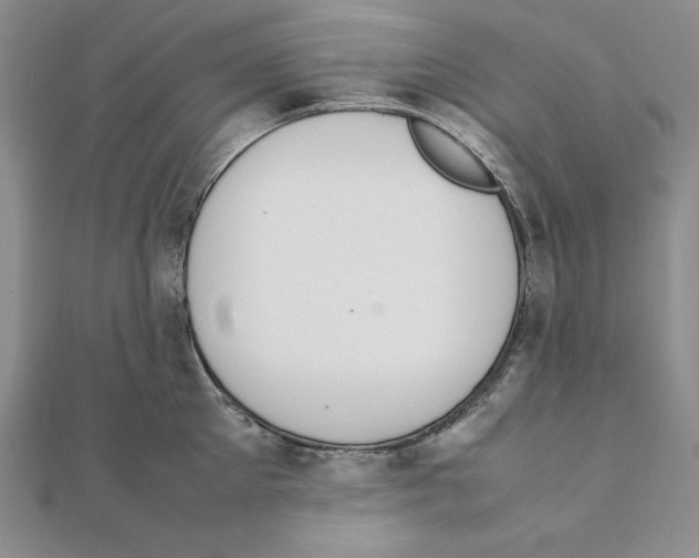 X0000111140905200907281110