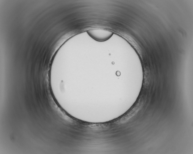 X0000111140906200907281110