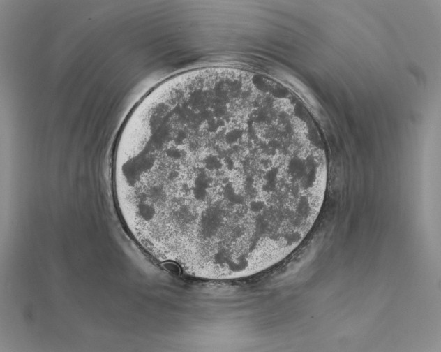 X0000111140907200907281110