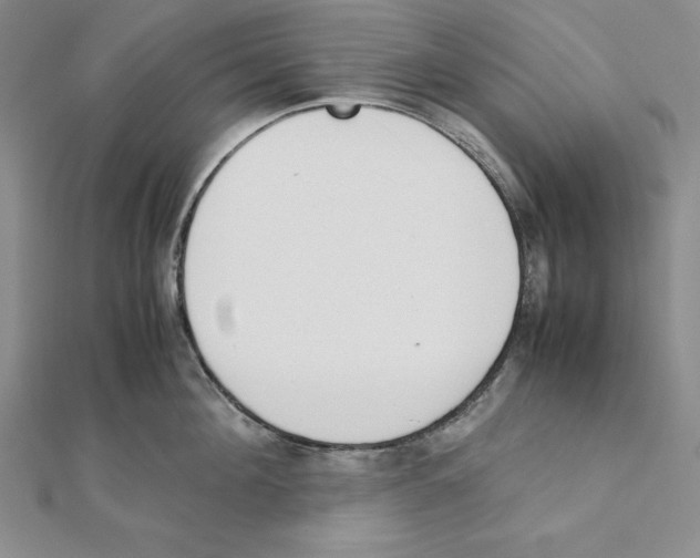 X0000111140908200907281110