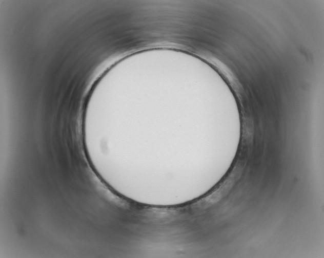 X0000111140910200907281109