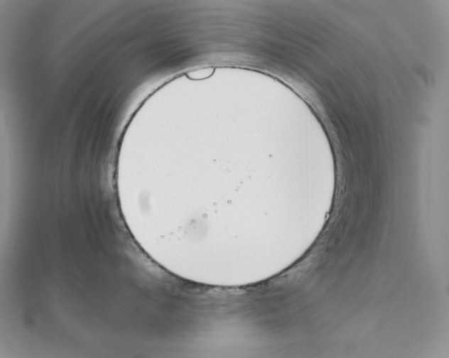 X0000111140912200907281109