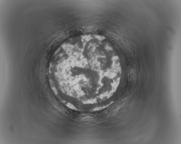 X0000111140913200907281109