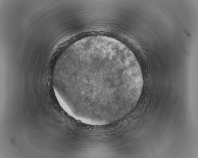 X0000111140920200907281109