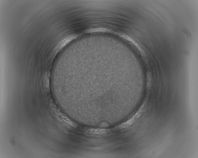 X0000111140921200907281109