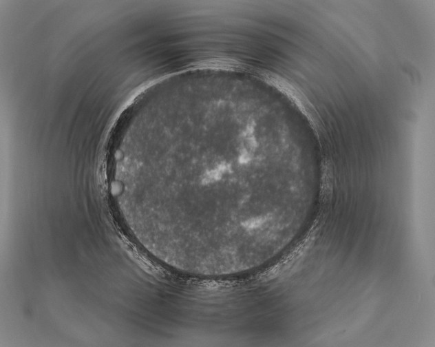 X0000111140923200907281109