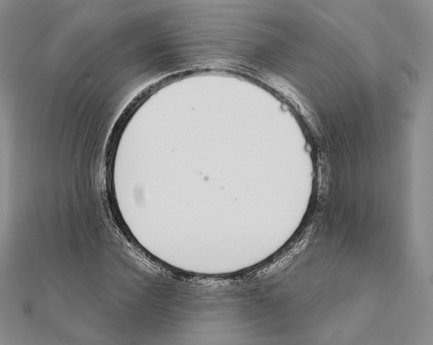 X0000111140924200907281109