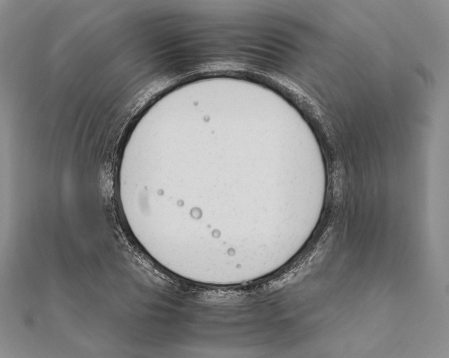 X0000111140929200907281109