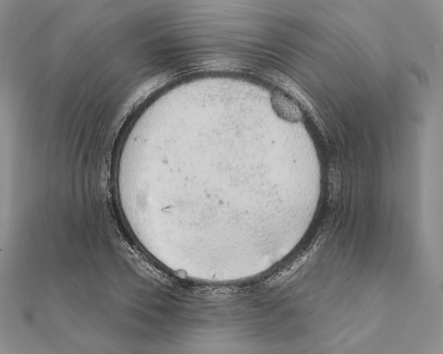 X0000111140930200907281109