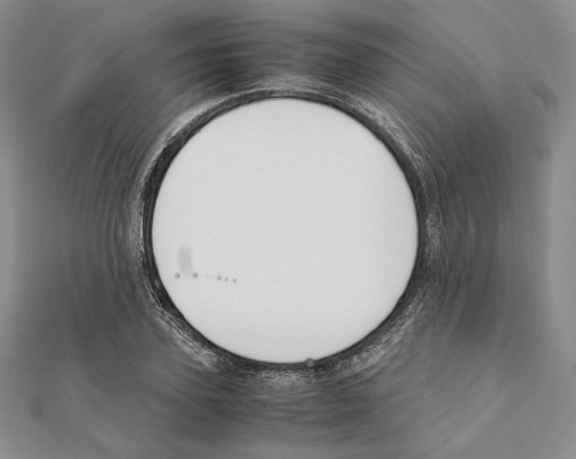 X0000111140931200907281109