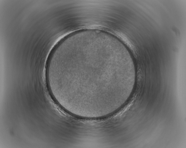 X0000111140932200907281109