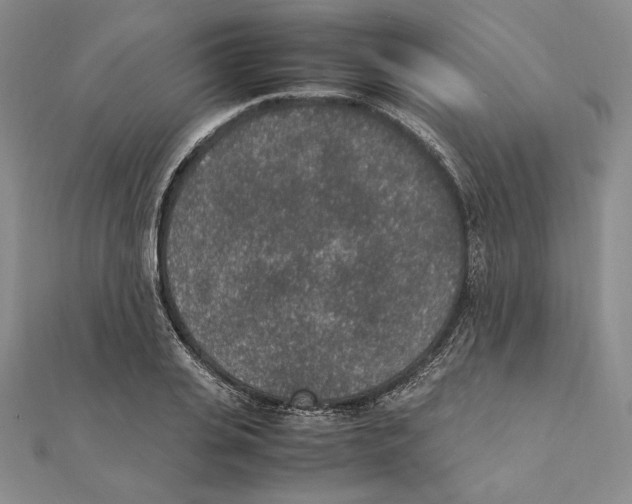 X0000111140935200907281109