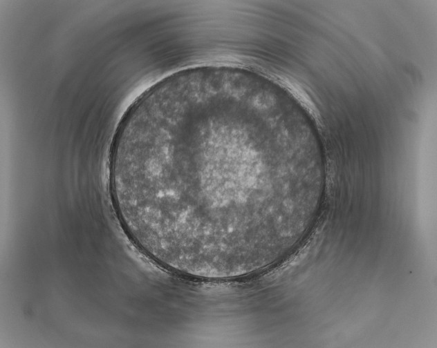 X0000111140944200907281109