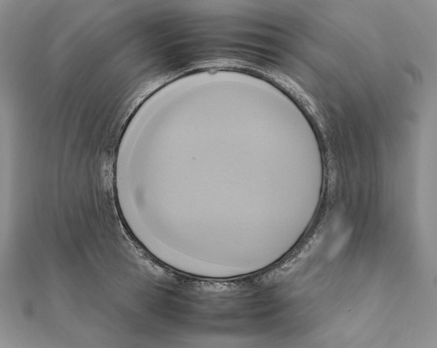 X0000111140945200907281109